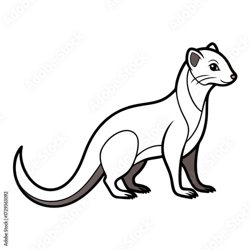 Cartoon ermine standing in profile vector illustration image