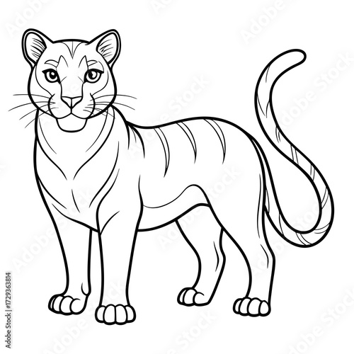 Outlined cartoon tiger standing looking directly at viewer