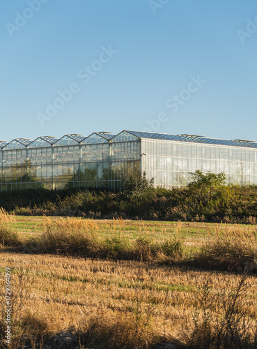 Wallpaper Mural Huge glass greenhouses for growing plants against a backdrop of empty fields Torontodigital.ca