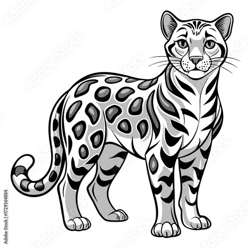 Black and white vector illustration of standing bengal cat