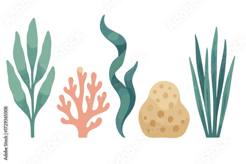 Diverse collection of stylized underwater plants, seaweed, coral reef elements, and marine flora on a clean white background