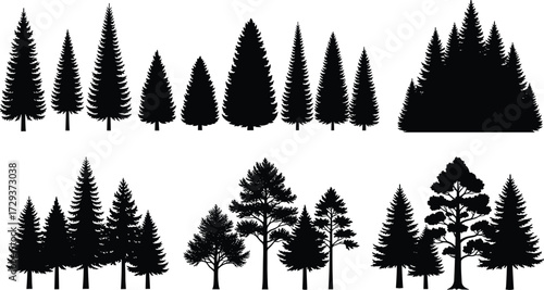 ree silhouettes, forest shapes, coniferous and deciduous trees, botanical diversity, nature design, landscape elements, artistic trees, black tree icons