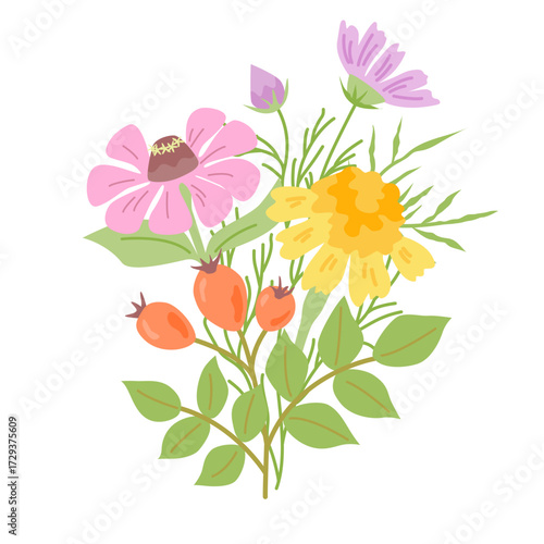 Wallpaper Mural Vector colorful isolated floral illustration with zinnia, cosmos, merigold and  rosehip. Perfect for greeting cards, invitations, autumn and summer designs. Torontodigital.ca
