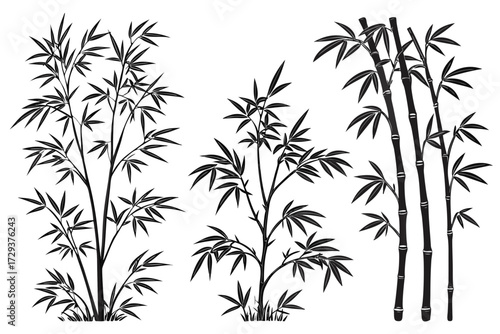 Illustration of three bamboo plant clusters with detailed leaves and stalks in black and white color scheme silhouette