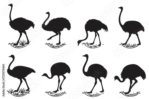 Silhouette ostrich vector art: african animal illustrations for graphic design and wildlife projects