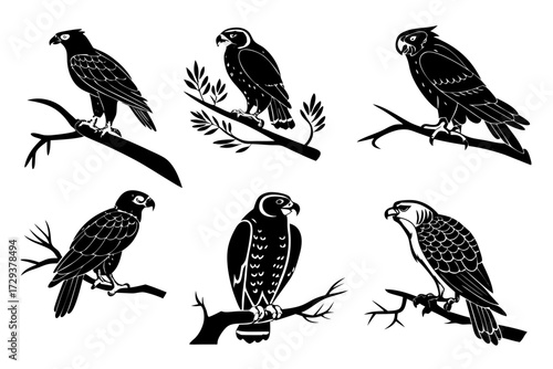 Download vector graphic of eagles and hawks perched on branches in silhouette for free commercial use