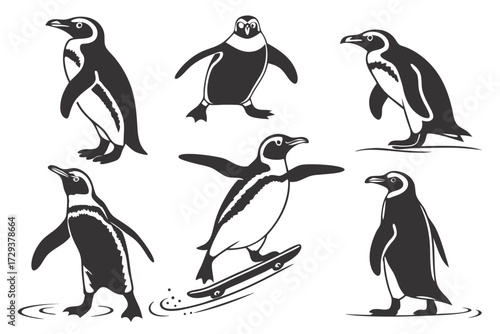 Penguin vector illustration set of antarctic birds in different poses and skateboarding penguin design silhouette