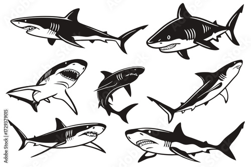 Discover amazing shark vector illustrations for your next project shark clip art and shark design elements silhouette