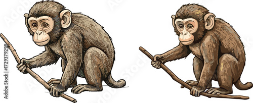 Cartoon monkey illustration, jungle animal character, playful pose, stick holding, crouching monkey, comparison art, cute primate drawing, vector style