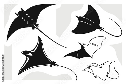 Explore diverse stingray species black and white vector art marine life underwater creatures ocean wildlife design 100 silhouette