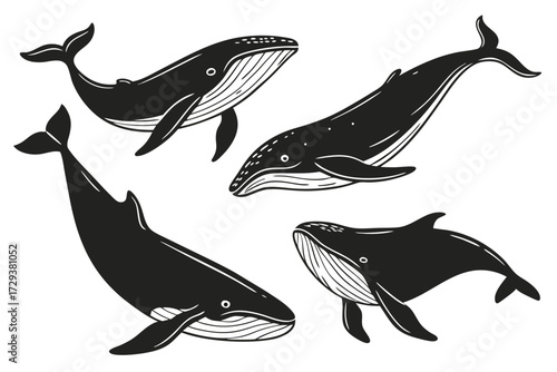 Whale clip art vector illustration set, marine animal graphics for ocean wildlife themed designs and projects silhouette