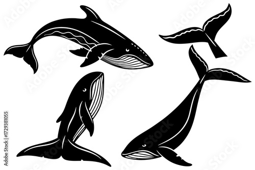 Whale silhouette vector illustration, ocean wildlife graphic design element, aquatic mammal drawing, sea life art