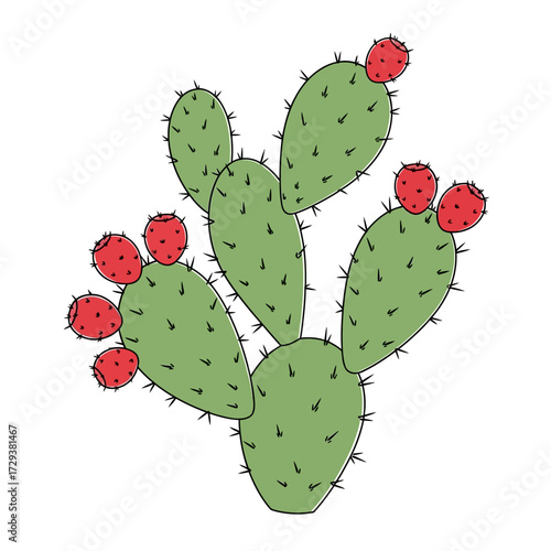 A vibrant illustration of a prickly pear cactus adorned with ripe red fruits, set against a clean white background.