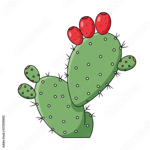 A cartoon illustration of a green prickly pear cactus with red fruits and sharp thorns on a white background.