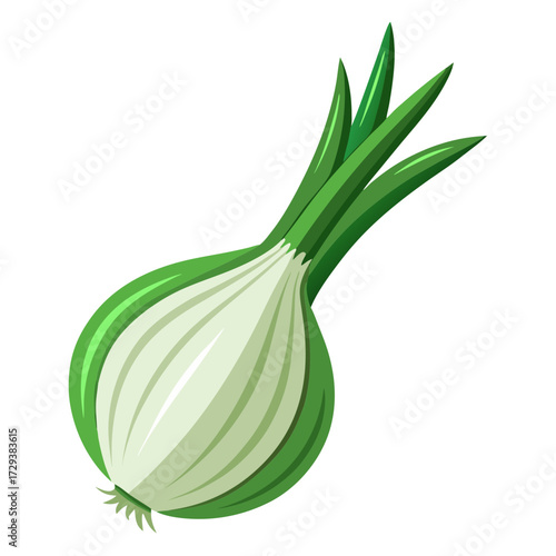Fresh green onion scallion vector illustration cooking ingredient healthy food vegetable plant bulb 90