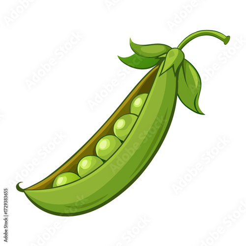 Isolated fresh green peas pod with leaves vector illustration healthy organic vegetable nutrition 90
