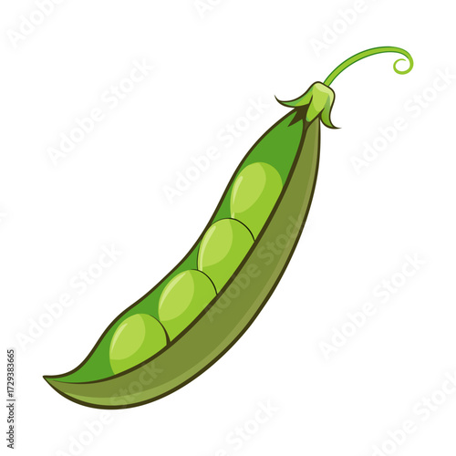 Fresh green peas in pod illustration for healthy eating and vegetarian diet concept design element
