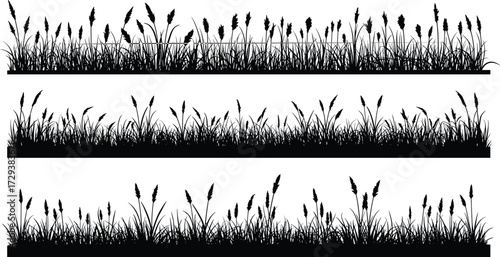 Grass silhouette cad drawing flat vector illustration, three horizontal rows of assorted blades and plants, front view natural border layout