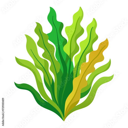 Illustration of green and yellow seaweed kelp ocean plants for graphic design and decoration use