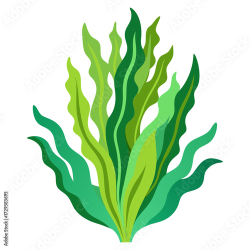 Seaweed kelp vector illustration green algae aquatic plant underwater ocean marine life design element graphic art
