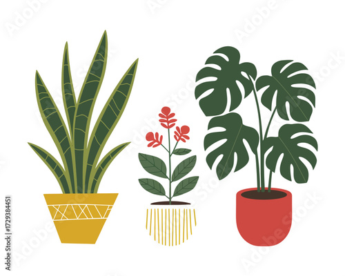 A charming and diverse vector illustration featuring a trio of popular indoor houseplants, perfect for enhancing modern interiors with natural, botanical decor elements
