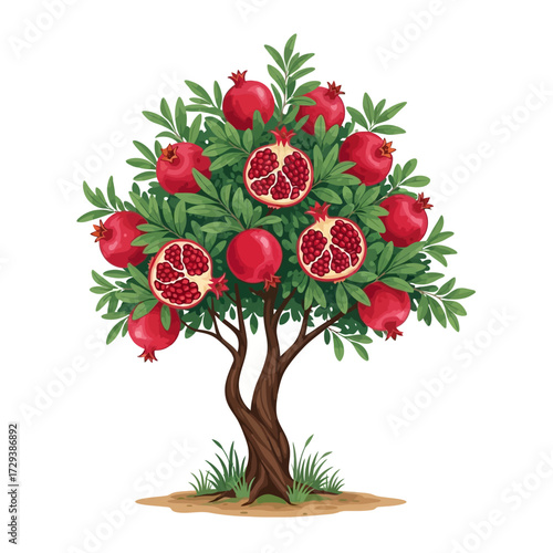 A lush pomegranate tree laden with ripe red fruits, some sliced open to reveal juicy seeds, isolated on a white background.