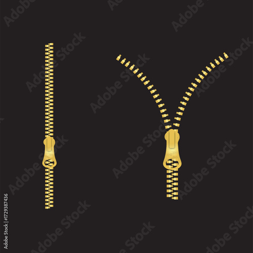 Zipper Vector