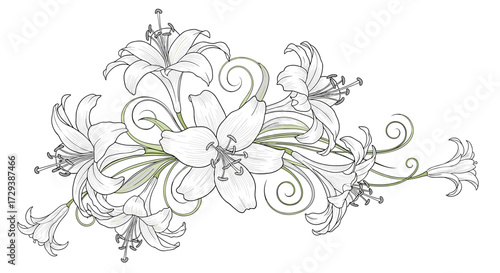 A delicate arrangement of white lilies with swirling green accents creates a graceful floral design.