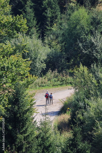 Older couple walks on a hiking trail in the forest, senior activity, outdoor lifestyle, nature recreation