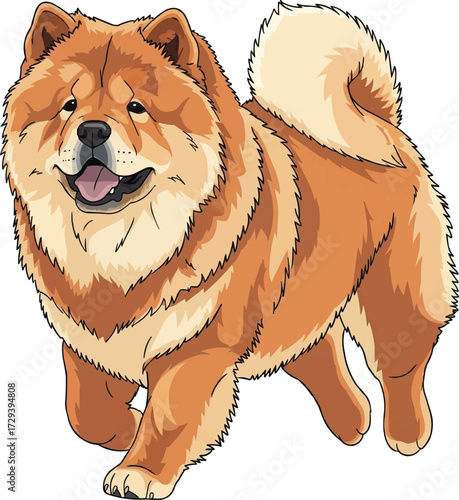 Chow Chow dog running playful cute vector illustration