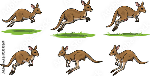 Kangaroo hop sequence, cartoon kangaroo motion, jumping animal illustration, wildlife animation frames, kangaroo leap stages, educational vector