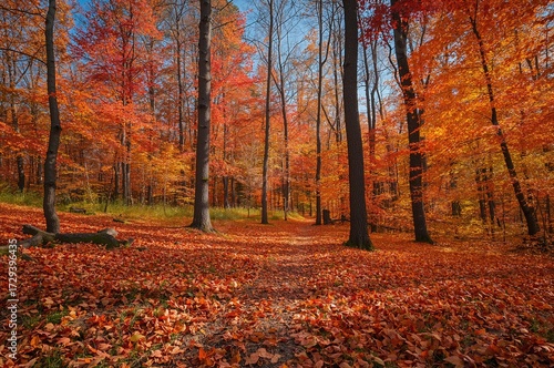 Vibrant fall foliage covers the forest floor in the height of autumn season. Vertical background