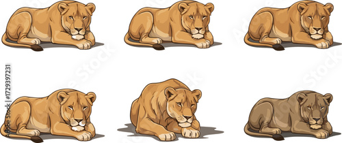 Lioness resting pose, animal illustration, wildlife character, digital art, color tone variation, feline anatomy, shading study, stock vector, nature theme