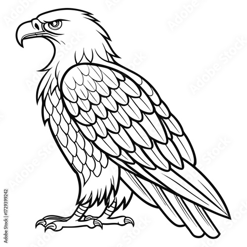 Fierce eagle standing profile bird raptor