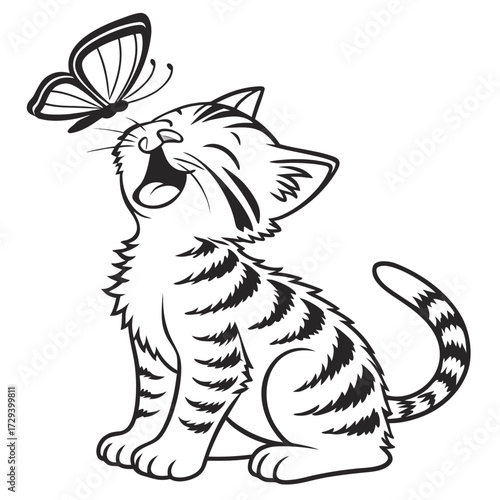 Kitten watching butterfly insect animal