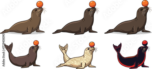 Seal illustration, cartoon animal, circus performance, playful marine mammal, balancing ball, aquatic character, cute drawing, ocean wildlife, entertainment art, fun design
