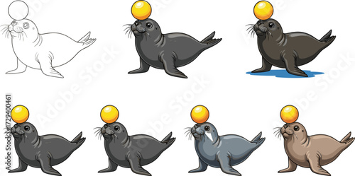 Seal illustration, cartoon animal, marine mammal, circus performance, balancing ball, aquatic character, drawing stages, sketch variations, ocean wildlife, playful design, entertainment art