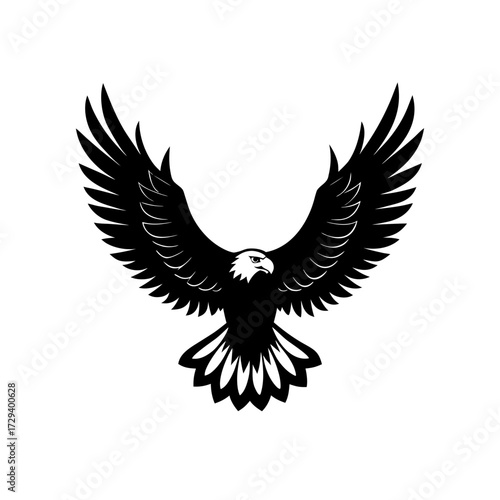 Eagle flying with open wings on transparent background silhouette