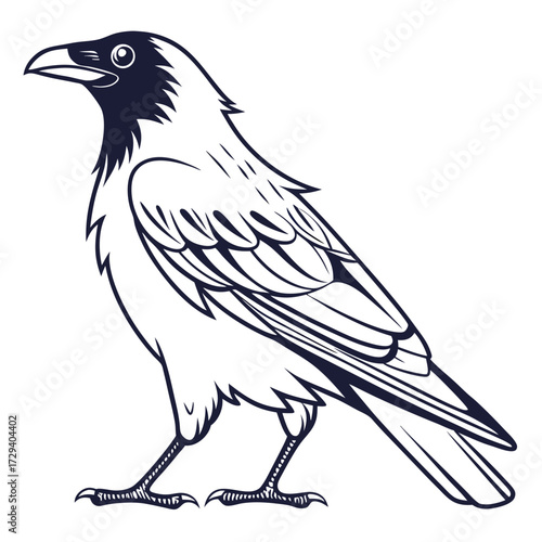 Dark feathered bird standing crow raven