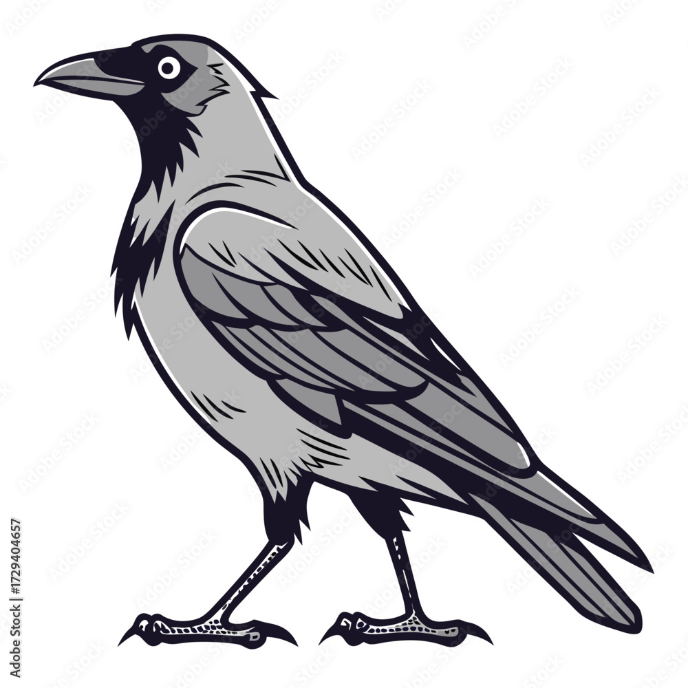 Fototapeta premium Gray bird standing black white