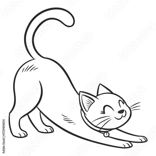 cat and mouse