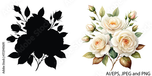 Elegant white rose bouquet silhouette and watercolor painting art vector