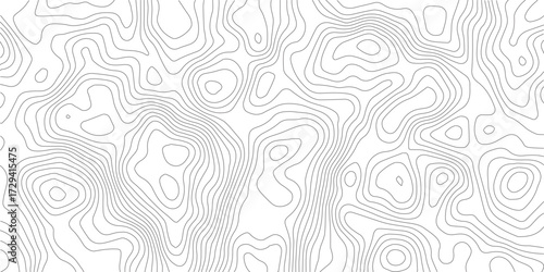 Topography background. Vector banner. Topography map background. Vector geographic contour map. Background of the topographic map. Topographic map lines, contour background.