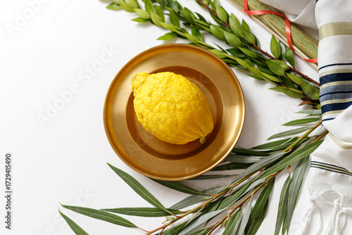 Jewish festival of sukkoth Sukkot festival symbols