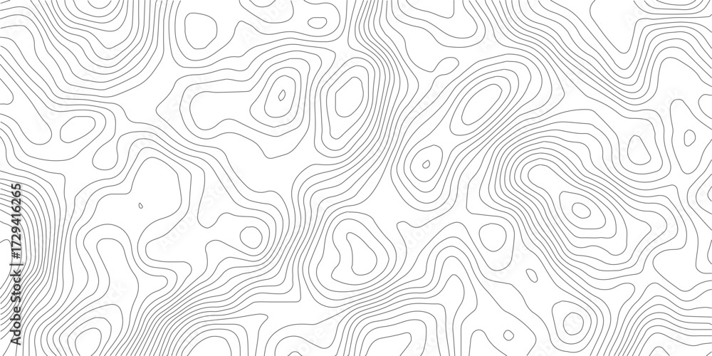 Fototapeta premium Topography background. Vector banner. Topography map background. Vector geographic contour map. Background of the topographic map. Topographic map lines, contour background.
