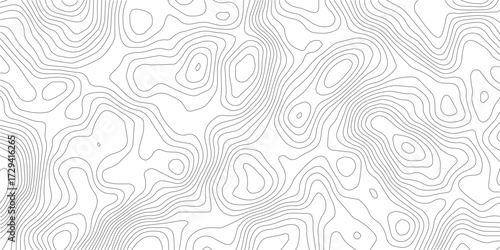 Topography background. Vector banner. Topography map background. Vector geographic contour map. Background of the topographic map. Topographic map lines, contour background.