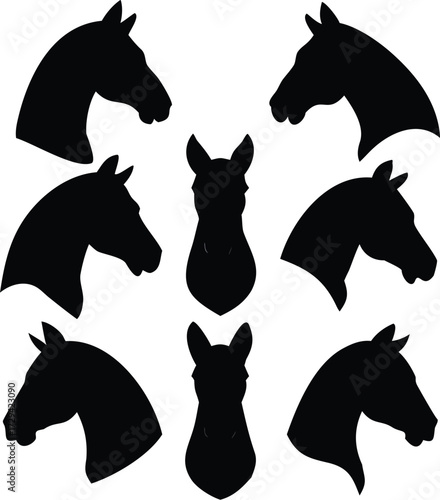 Silhouette Study of Horses A Collection of Equine Portraits