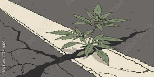 Weed Growing Through Asphalt Crack