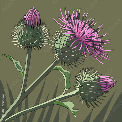 Burdock Plant with Purple Flower Close-Up