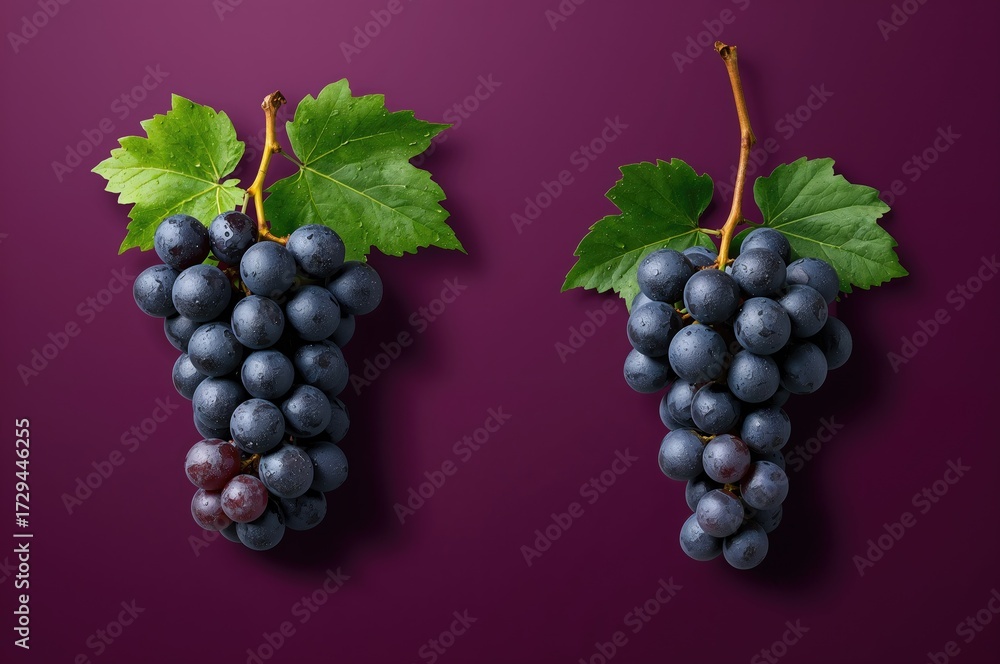 Fototapeta premium Dark Wine Grape Set Against a Purple Backdrop, Cluster of Grapes with Leaves on Purple Background with Clipping Path